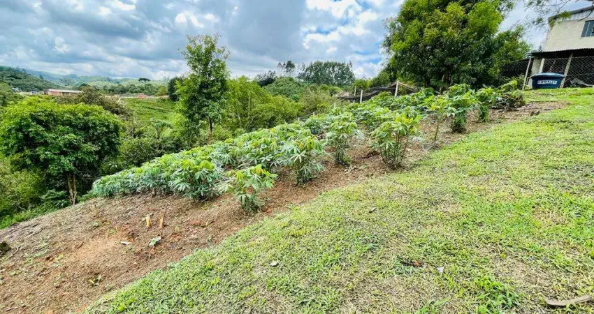 Chácara à venda, 7482.17 m2 por r$450000.00  - colonia antonio prado - colombo/pr