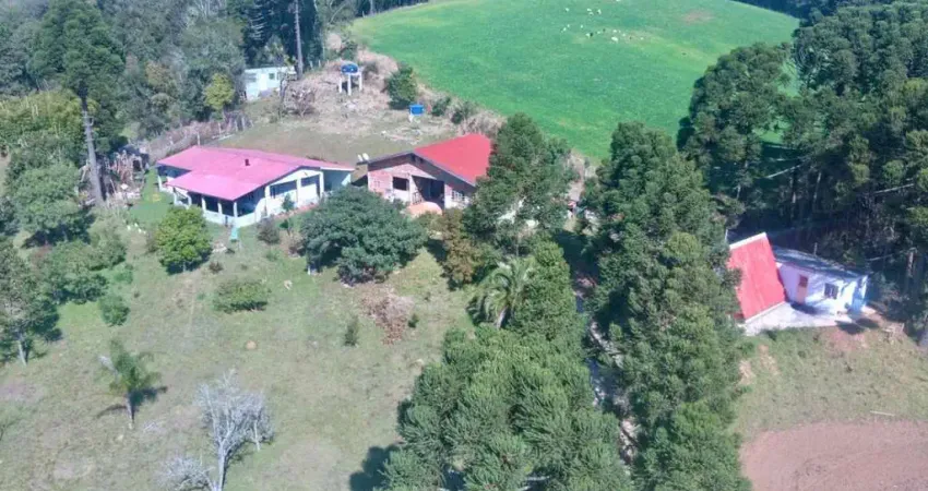 Chácara à venda, 21380.00 m2 por R$1800000.00  - Santa Gema - Colombo/PR