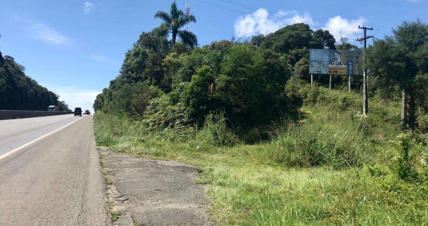 Área à venda, 121000.00 m2 por R$2200000.00  - Borda Do Campo - Sao Jose Dos Pinhais/PR
