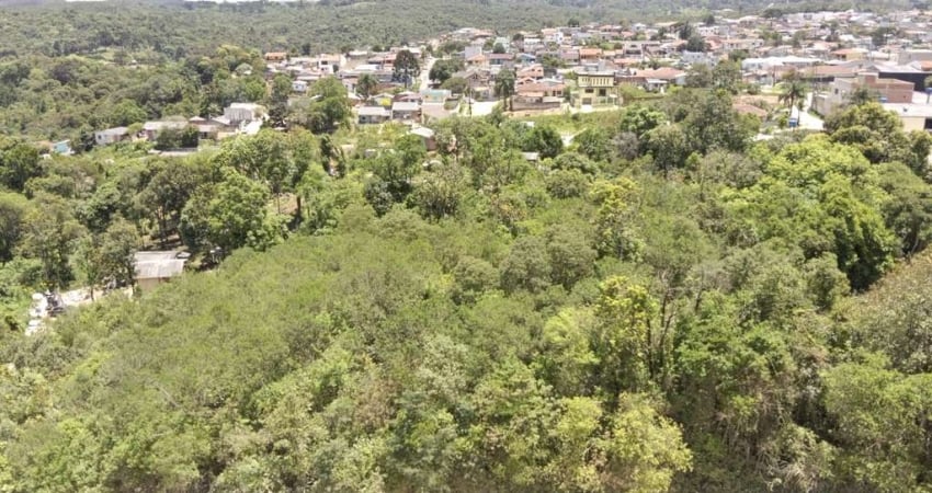 Terreno à venda, 12587.04 m2 por R$1200000.00  - Arruda - Colombo/PR