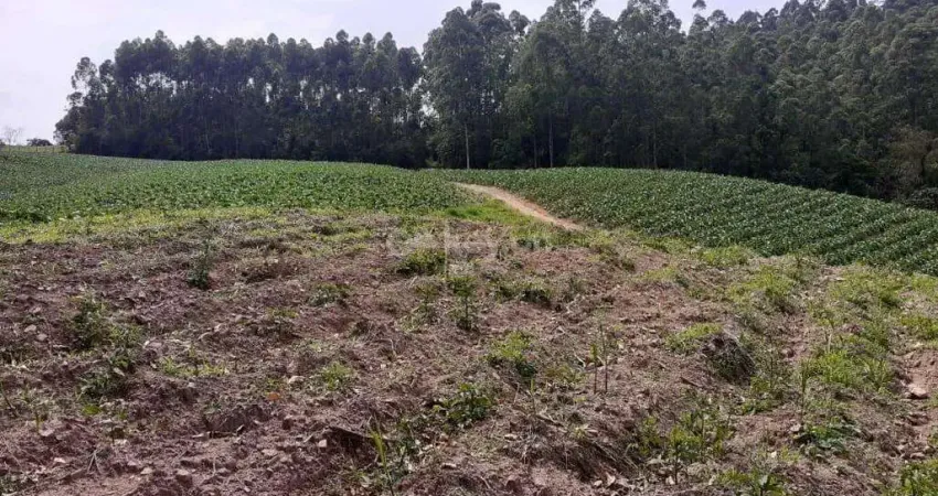 Terreno à venda no Rio do Pouso, Tubarão 