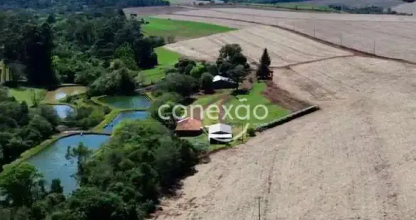 Chácara / sítio à venda na Área Rural de Toledo, Toledo 