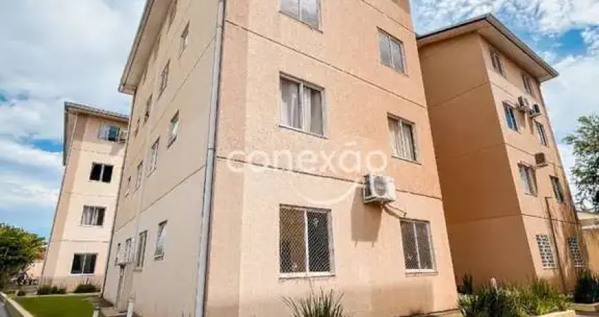 Apartamento para locação com 2 quartos, são francisco - toledo