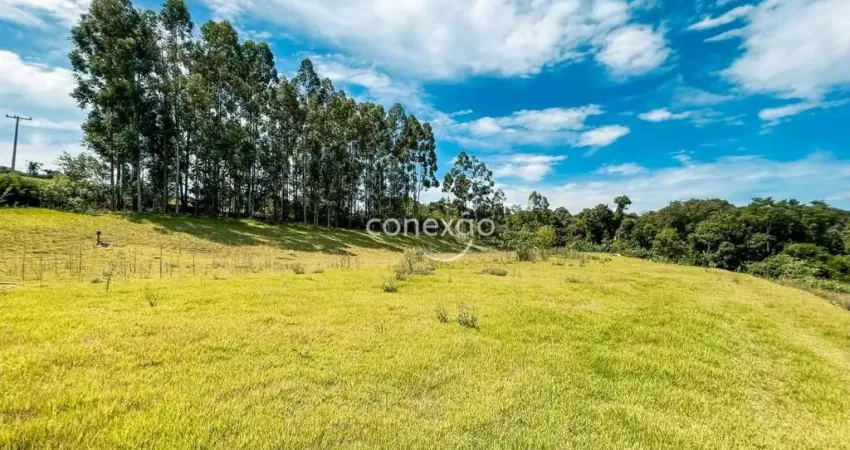 Terreno à venda na Área Rural de Toledo, Toledo
