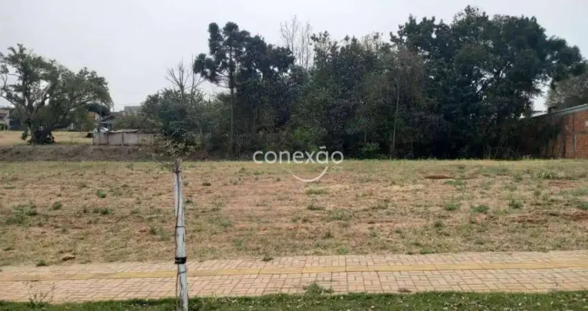 Terreno à venda no Jardim Parizzotto, Toledo 