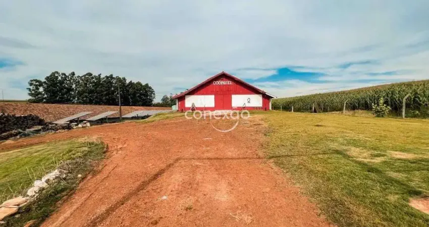Casa com 2 quartos à venda no Centro, Cascavel 