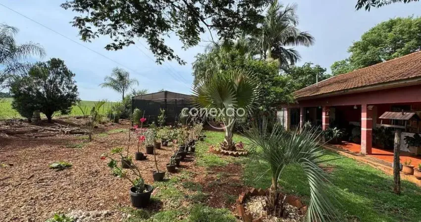 Chácara com casa para venda na linha piabirú vila nova-toledo/pr