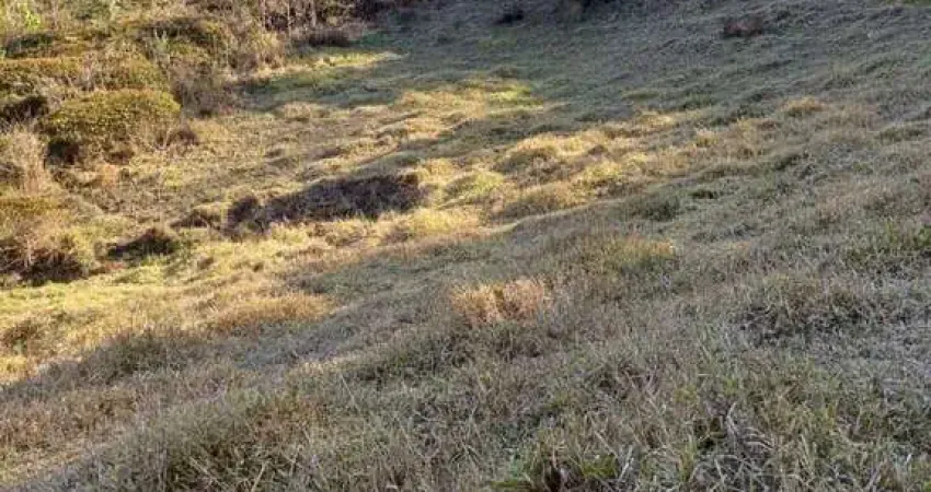 Terreno à venda em Furquim, Mariana 