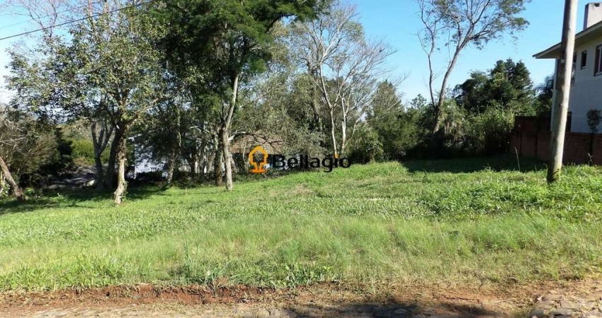 Terreno à venda na Rua das Pedras Brancas, 00, Chácara das Flores, Santa Maria