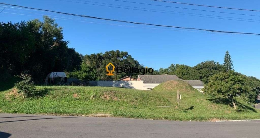 Terreno à venda na Rua João Jacinto Gauer, Chácara das Flores, Santa Maria