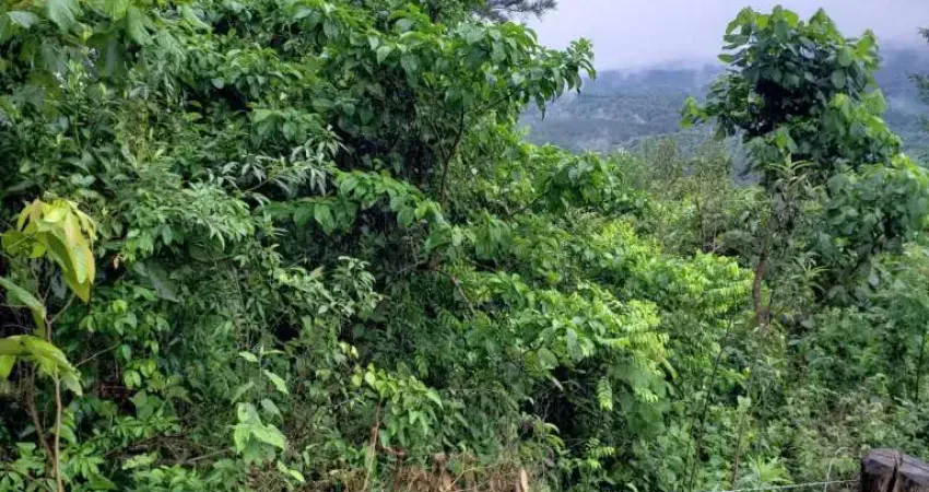 Chácara / sítio à venda em Itaiacoca, Ponta Grossa