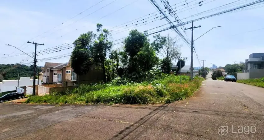 Terreno à venda na Rua Said Ajuz, Estrela, Ponta Grossa