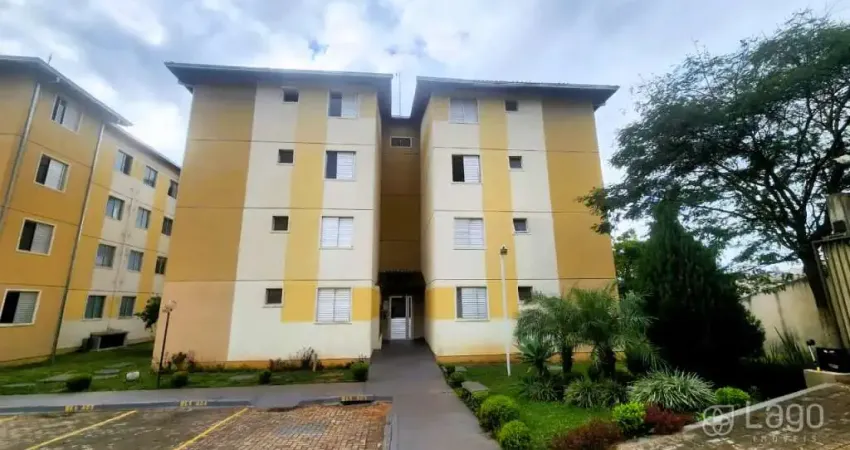 Apartamento com 2 quartos para alugar na Rua Leopoldo Miques, 111, Estrela, Ponta Grossa