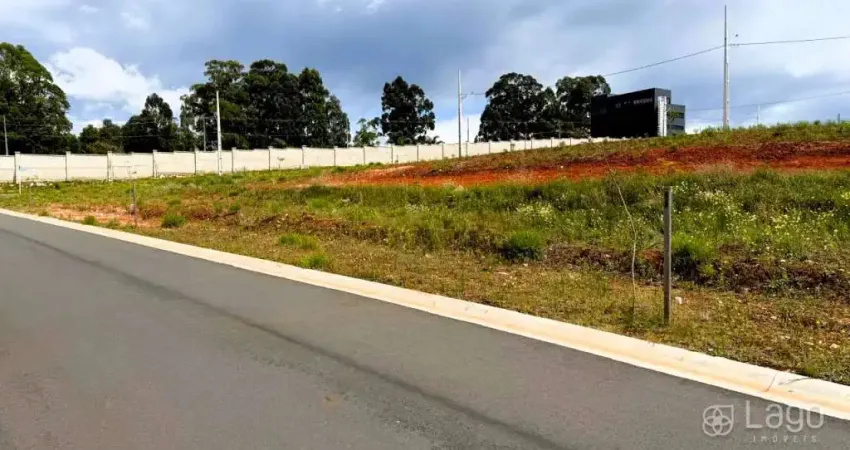 Terreno à venda na Rua Cleia Baptista de Campos Melio, Jardim Carvalho, Ponta Grossa