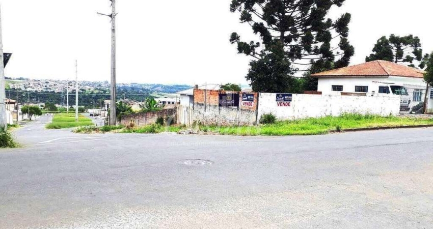 Terreno à venda na Rua Doutor João Cecy Filho, Uvaranas, Ponta Grossa