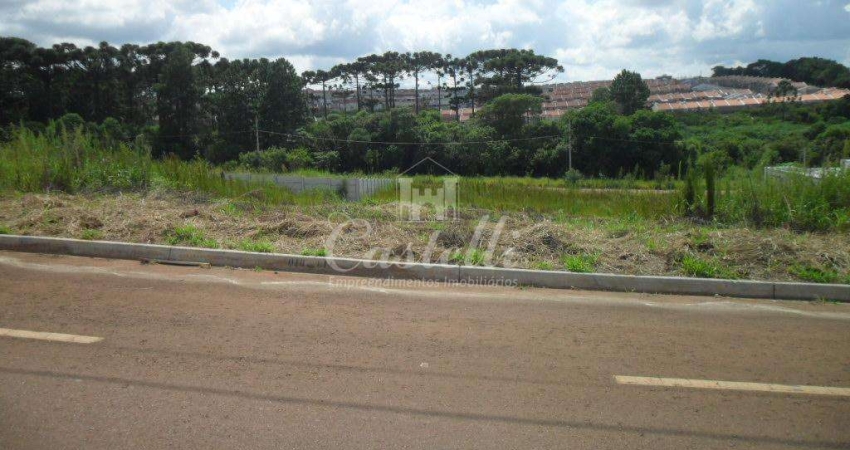 Terreno à venda na Av. Aderly Tureck, 70, Uvaranas, Ponta Grossa