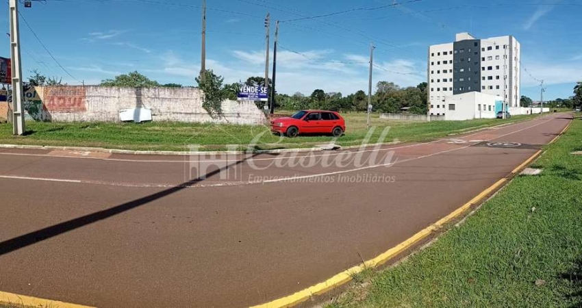 TERRENO COMERCIAL PARA VENDA NO BAIRRO UVARANAS EM PONTA GROSSA