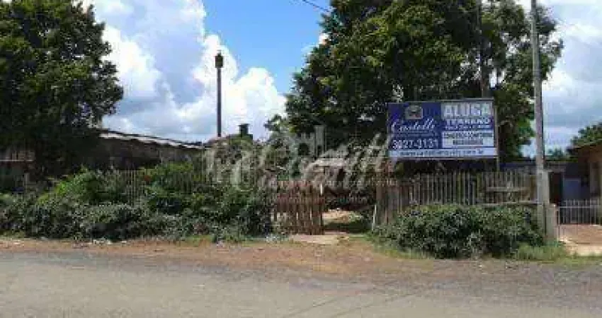 Terreno comercial para alugar na Rua Antonina Szathowski, 1799, Chapada, Ponta Grossa