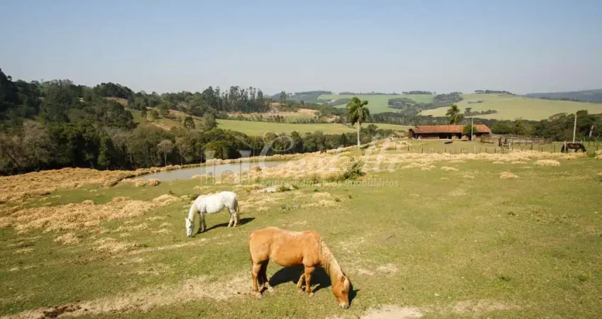 Chácara à venda em palmeira pr, colonia francesa, palmeira - pr