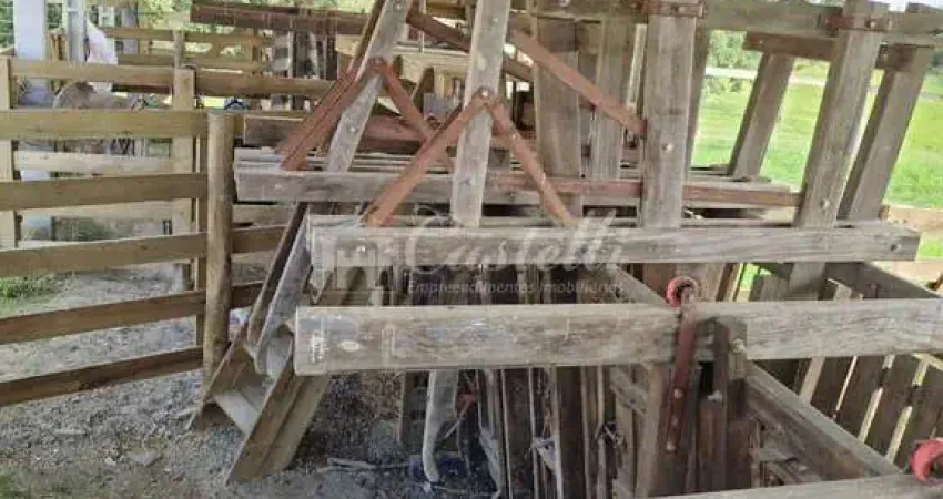 Chácara / sítio à venda na CENTRO, Centro, Reserva