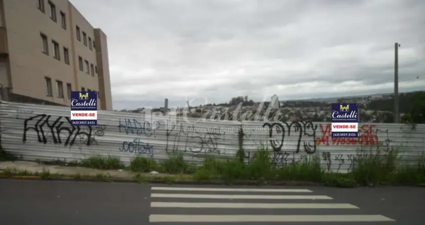 Terreno à venda na Avenida Ana Rita, Uvaranas, Ponta Grossa