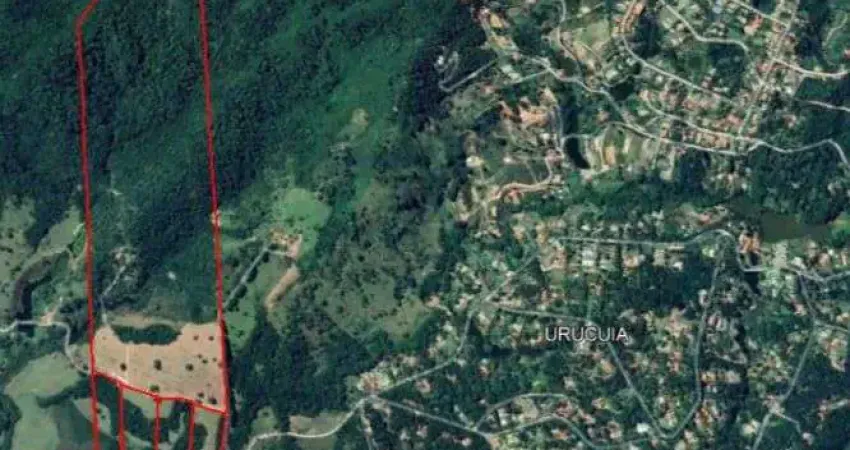 Vendo fazendinhas de 20.000 m2 ao lado do Condomínio Ipê Amarelo