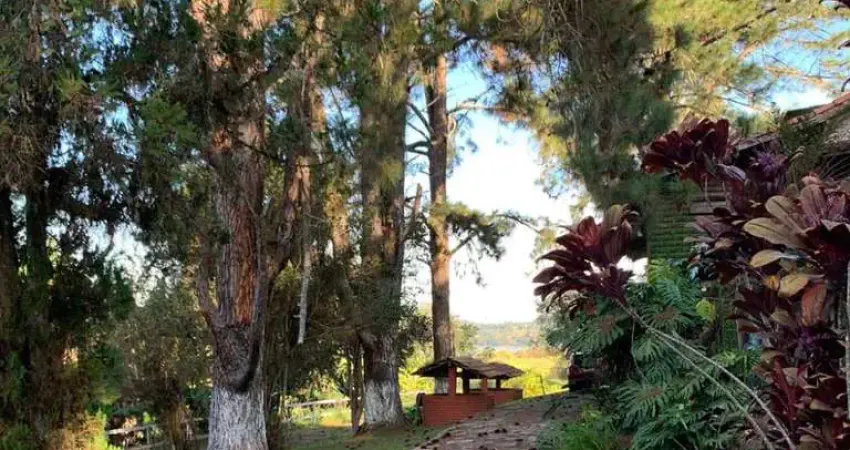 Sítio com 6 quartos, Taiaçupeba, Mogi das Cruzes - R$ 2.5 mi, Cod: 267