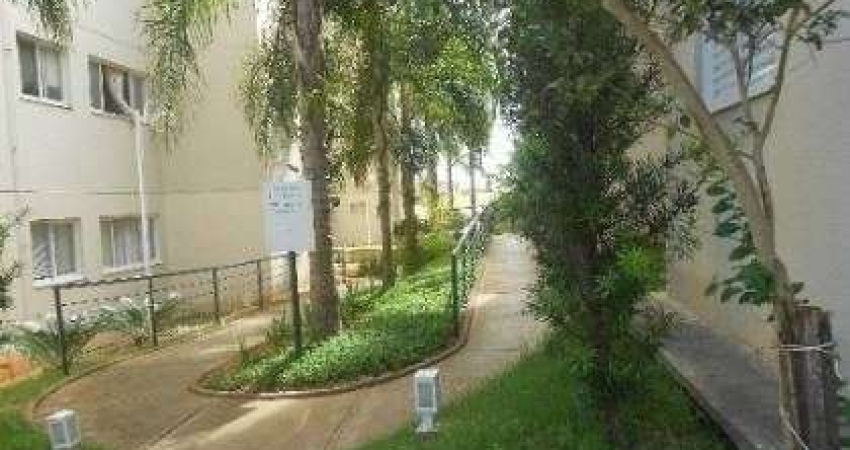 Apartamento com 2 dormitórios à venda, 45 m² por R$ 210.000,00 - Universitário - São José do Rio Preto/SP