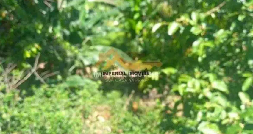 Terreno à venda no São Francisco da Praia, São Sebastião