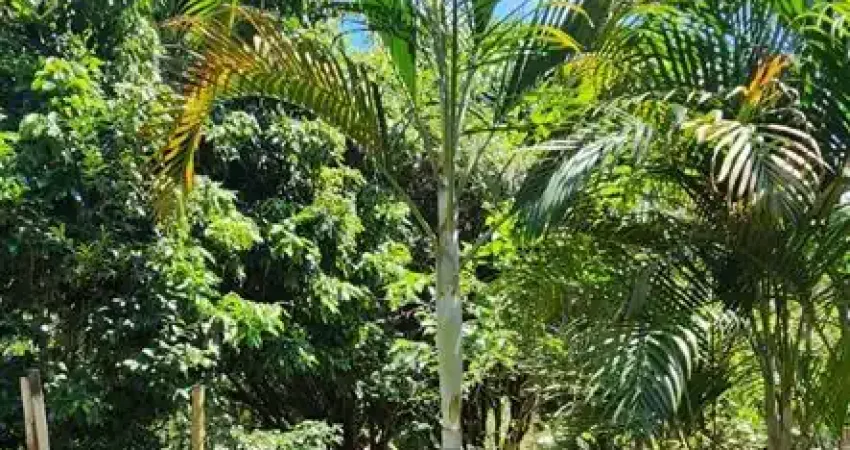 Chácara em Biritiba Mirim Bairro do Nirvana 2 Casas Independentes Mega Oportunidade