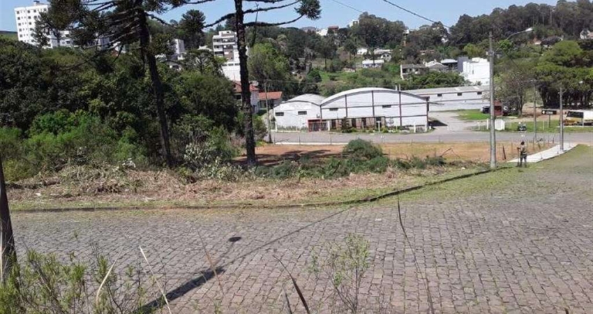 Terreno à venda no Vinhedos, Caxias do Sul 
