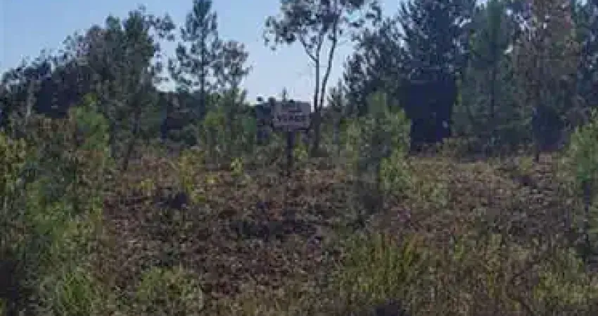 Terreno à venda no São Luiz, Caxias do Sul 