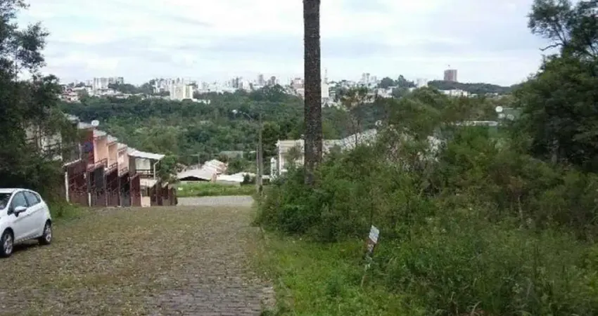 Terreno à venda no Santa Catarina, Caxias do Sul 