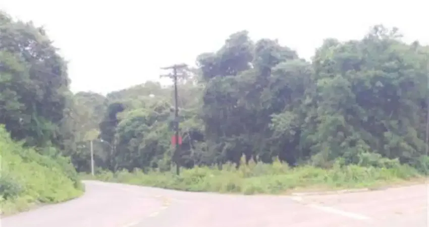 Terreno à venda em Linha Feijó, Caxias do Sul 