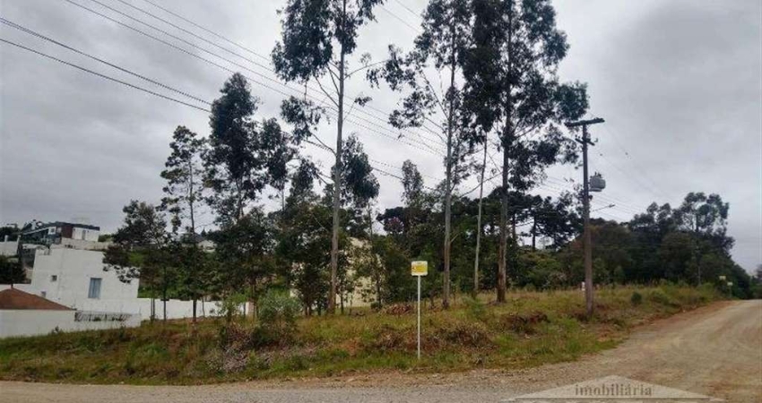 Terreno à venda no São Francisco, Farroupilha 