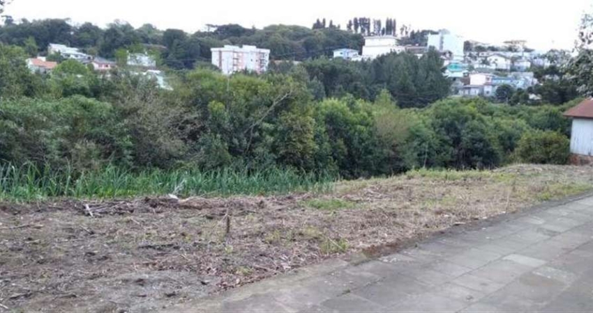 Terreno à venda no Nova Vicenza, Farroupilha 