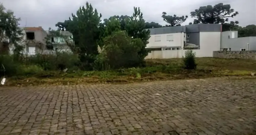 Terreno à venda no São Luiz da Sexta Légua, Caxias do Sul 