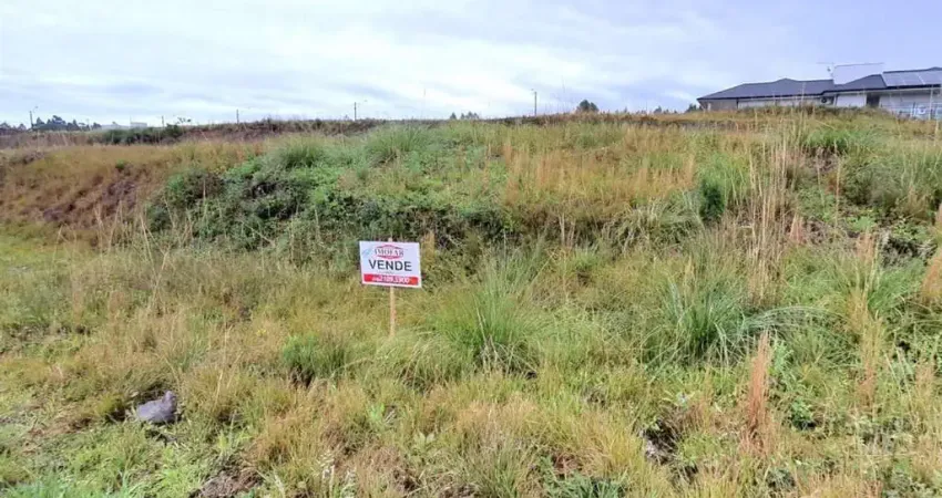 Terreno à venda no São Francisco, Farroupilha 