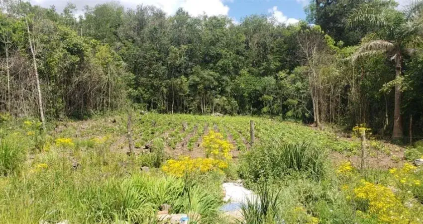Terreno à venda no Desvio Rizzo, Caxias do Sul 
