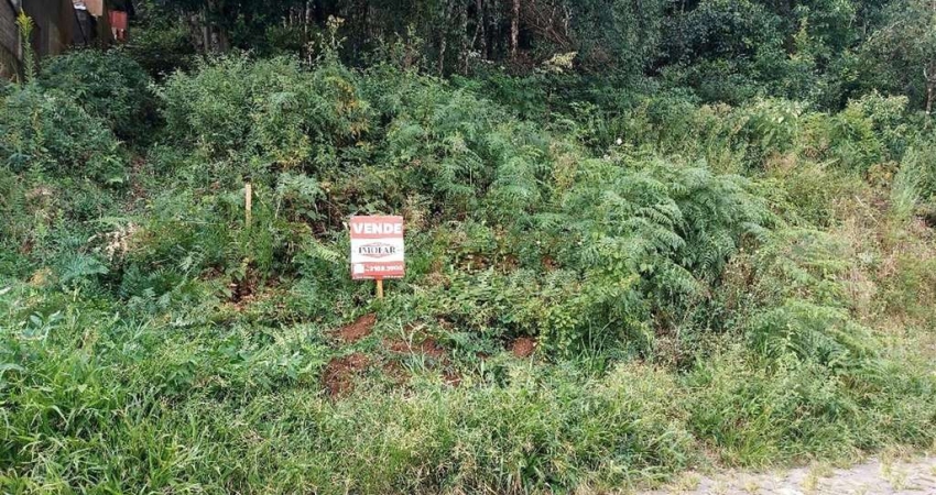 Terreno à venda no Santa Catarina, Caxias do Sul 