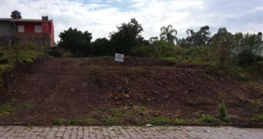 Terreno à venda no Desvio Rizzo, Caxias do Sul 