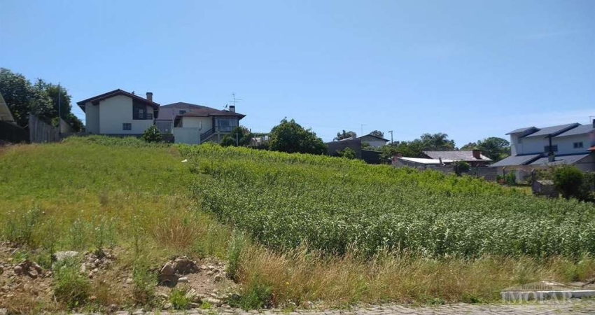 Terreno à venda no Imigrante, Farroupilha 