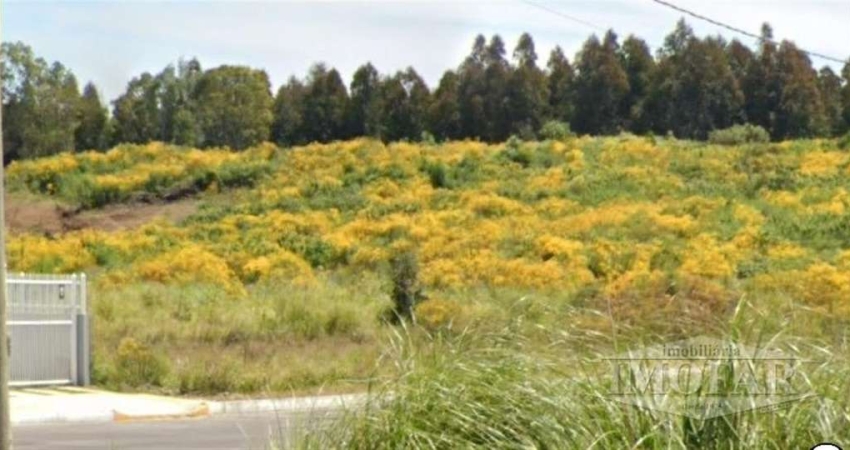 Terreno à venda no Monte Pasqual, Farroupilha 