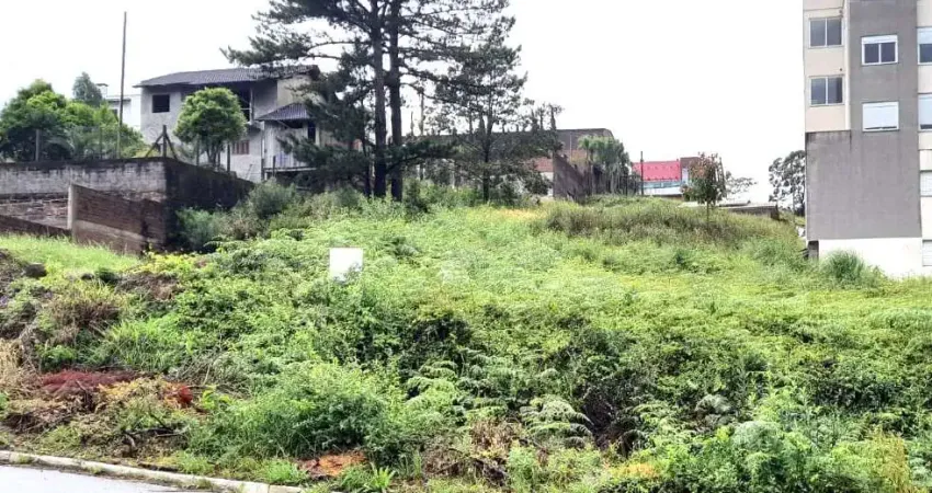 Terreno à venda no São Francisco, Farroupilha