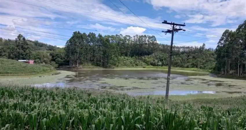 Chácara / sítio à venda na Santa Luiza, Carlos Barbosa 