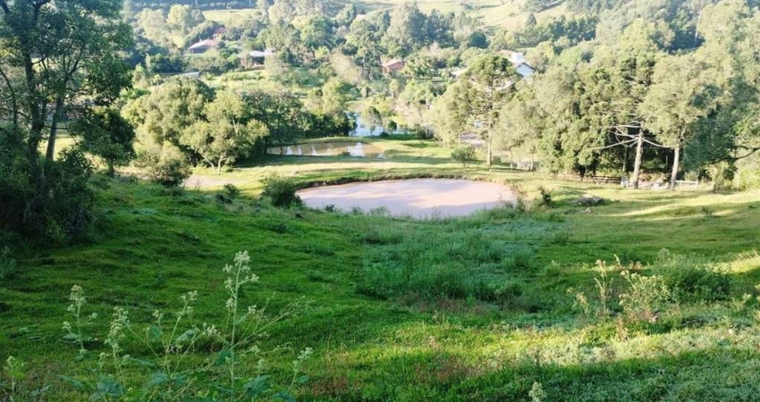 Chácara / sítio à venda no Nova Sardenha (Distrito), Farroupilha 