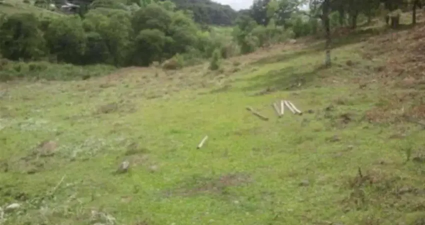 Chácara / sítio à venda na Ana Rech, Caxias do Sul 