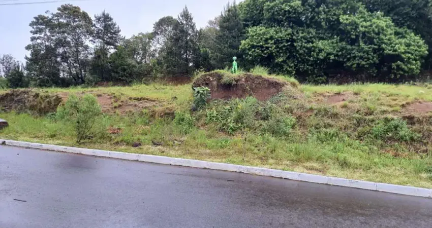 Terreno à venda no São Francisco, Farroupilha 