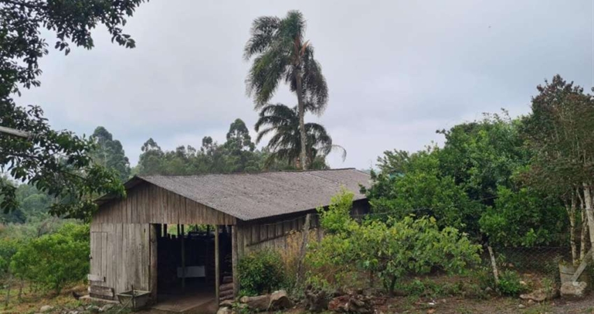 Chácara / sítio à venda no Nova Sardenha (Distrito), Farroupilha 