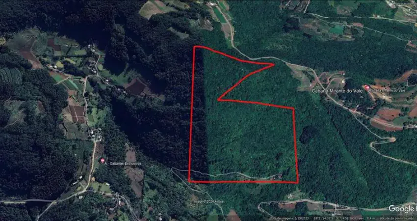 Chácara / sítio à venda na Zona Rural, Alto Feliz 